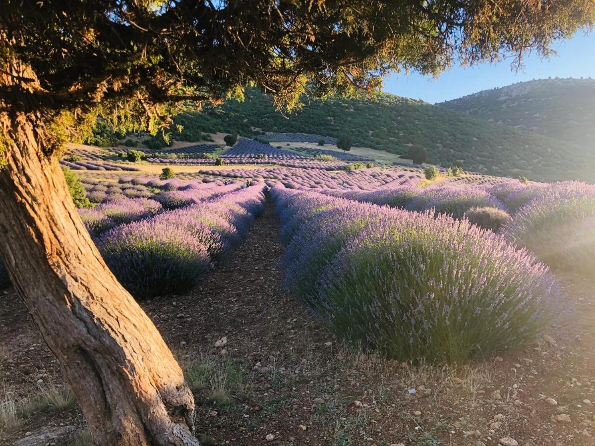 Aliya Konak - Koey Evi Ve Lezzetleri Isparta Esterno foto